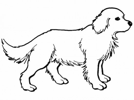 Dog coloring page